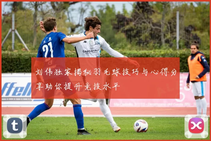 刘伟独家揭秘羽毛球技巧与心得分享助你提升竞技水平