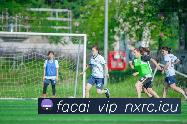 乐竞体育品牌故事